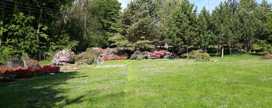 Rhododendrony - Pěstování a prodej Süssmilchová Marcela