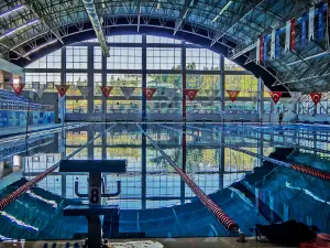 SCHOOL SWIMMING TEKİRDAĞ -TEYİK-