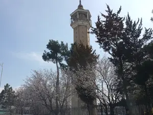 Olim Dodkhoh Madrasah (17th century) Медресе Олим Додхо (17 в.)
