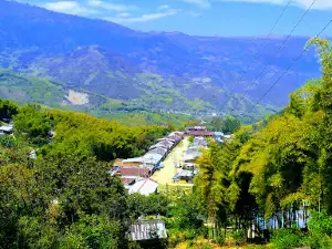 Monteseco