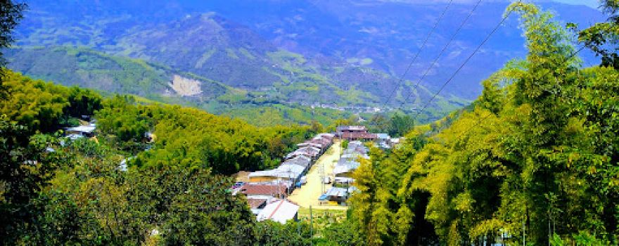 Monteseco