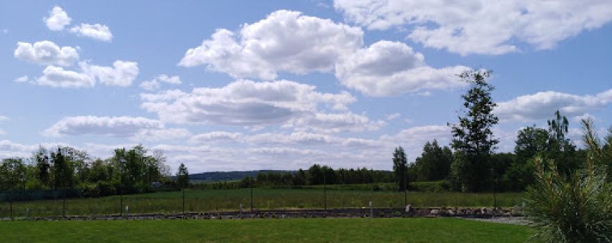 Victoria. Górnicki A.