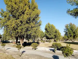 Shaheed Benazir Bhutto Park