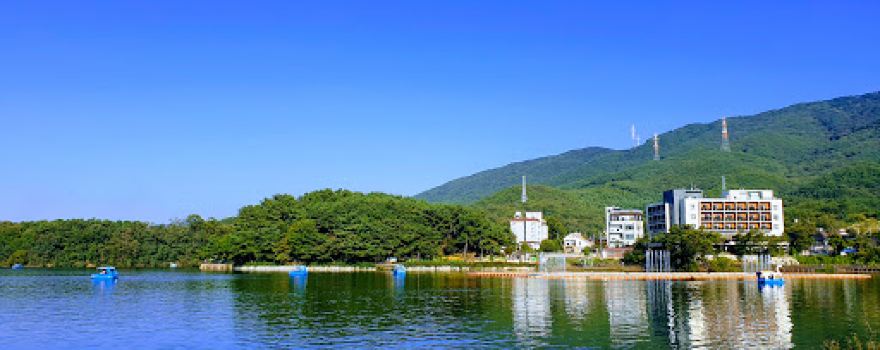수목원가는길2013