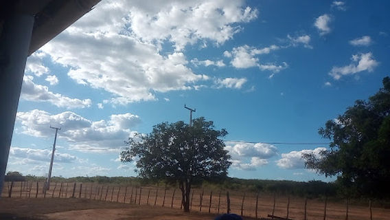 Parque de Vaquejada Dois Irmãos