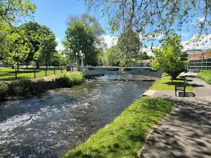 Geiser Pollman Park