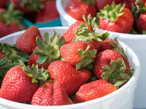 Troy Strawberry Festival