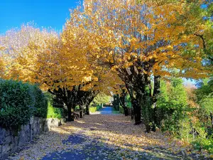 Caramulo Park