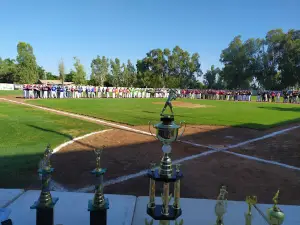 Baseball Stadium Batamote