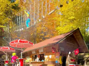 Hamari Kletterpark