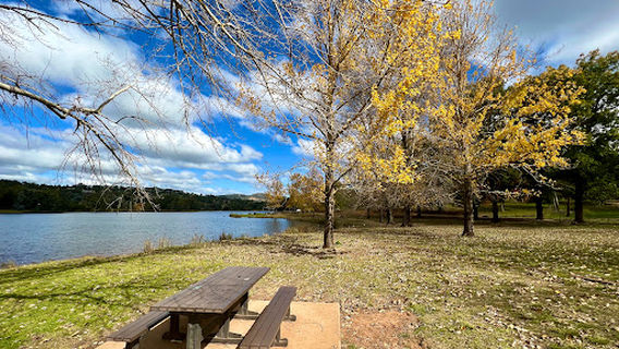 Lake Canobolas Reserve