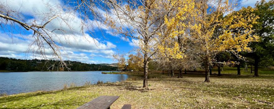 Lake Canobolas Reserve