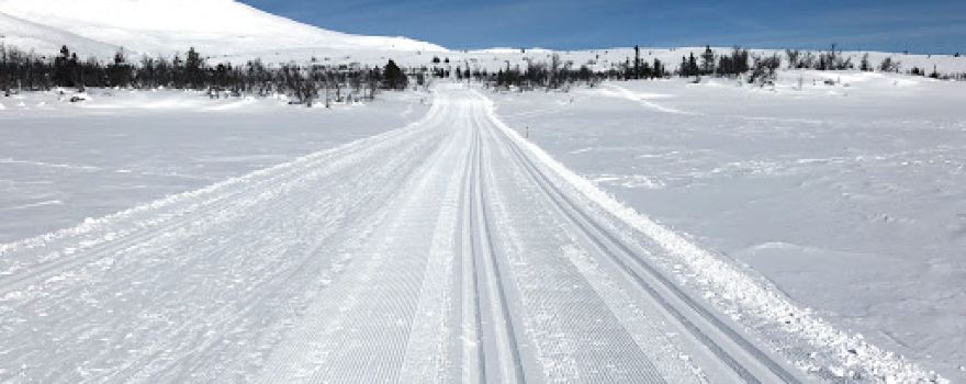 Syndinfjeld