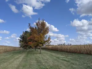 Griswold Conservation Area