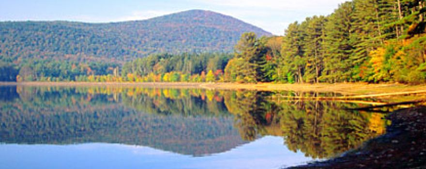 Catskill Provisions Distillery Makers of Pollinator Spirits