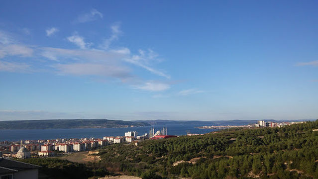 Barbarosspor Arena Çim Saha