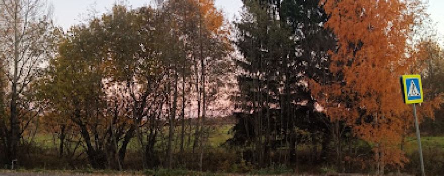 Chasovnya Arkadiya, Yepiskopa Bezhetskogo
