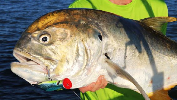 Due South Fishing Expeditions