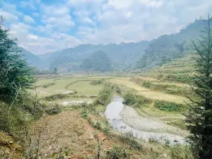 Thác Hoàng Thu Phố