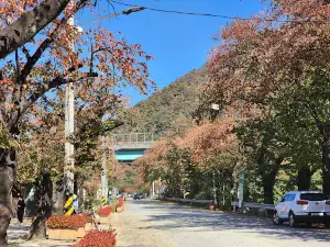 Mungyeong Rail Bicycle