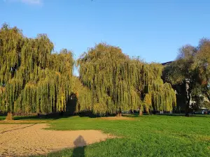 Molodizhnyy Park