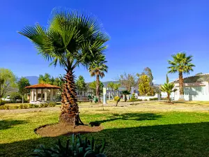 Unidad Deportiva Hidalgo