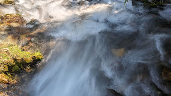 Domus Octavia Associazione Culturale