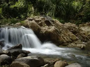 Chùa Mười Liễu