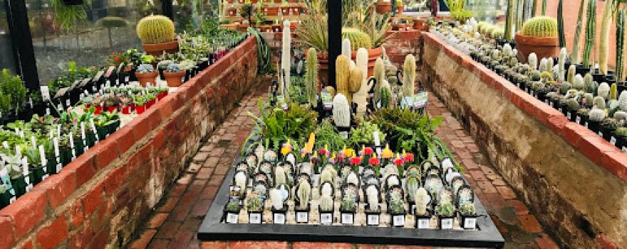 Heyne's Garden Centre