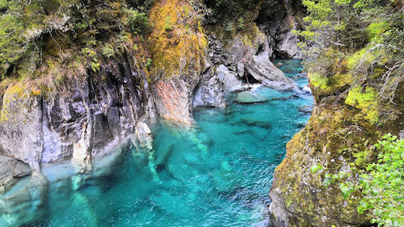 Cameron Flat Campsite