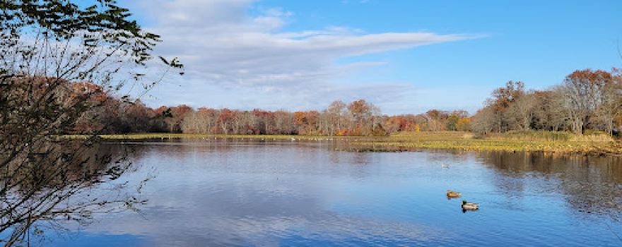 Twin Lakes Preserve