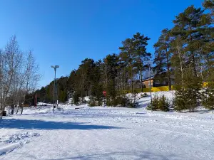 Городской парк