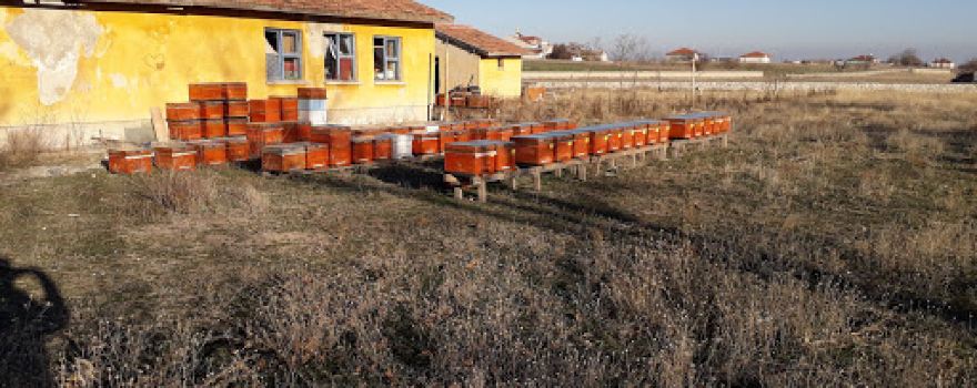 Ahirigüzel Mahallesi