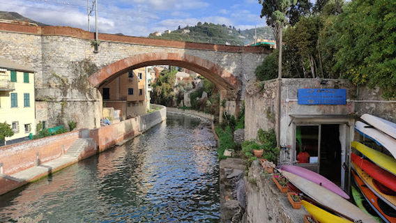 Nervi
