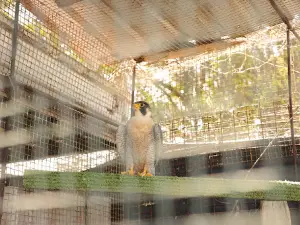 Marizayra Sanctuary Experience Barbados