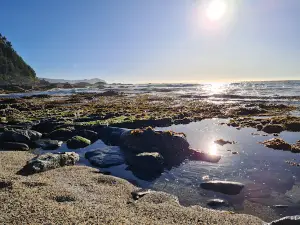 Playa Rosada