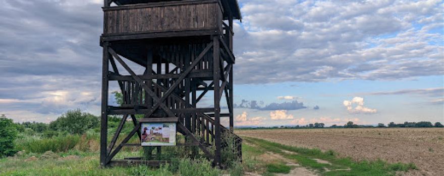 Pozorovateľňa vtáctva Bačka