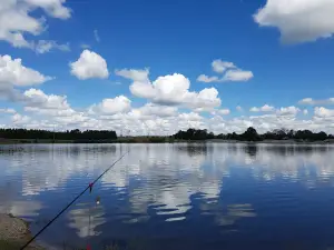 Pērtnieki- karjers