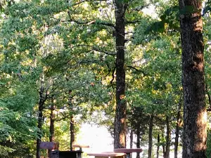 Swim Beach Hickory Ridge, Enid Lake