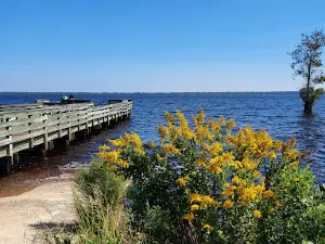 Lake Drummond Fishing Pier and Boat Ramp