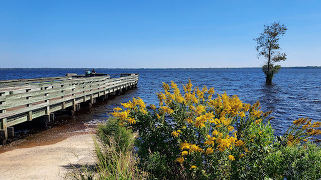 Lake Drummond Reflection Pier