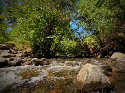 MANN CREEK CAMPGROUND