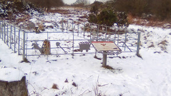 Brynford