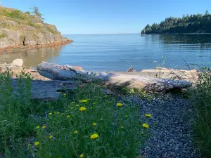 Sargeant Bay Provincial Park