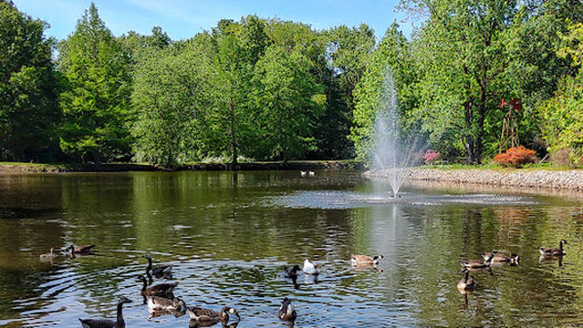 Frankfort Community Park