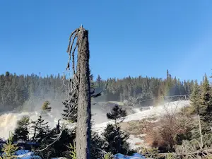 Chutes Manitou