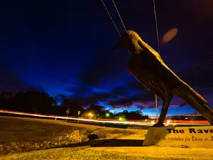 The Raven