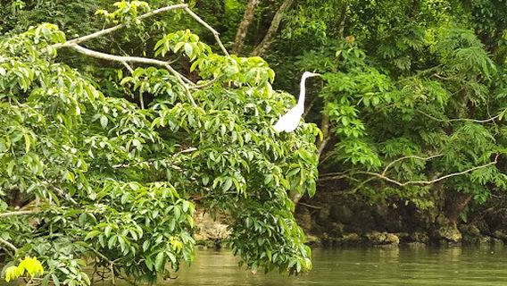 Centro Ecoturístico Agua Caliente