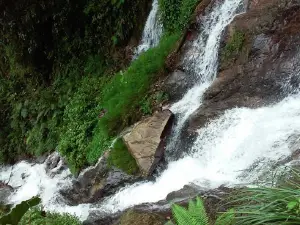 Finca Agroturistica "La Cascada"
