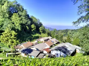 Mushroom Hill Rancabolang Ciwidey